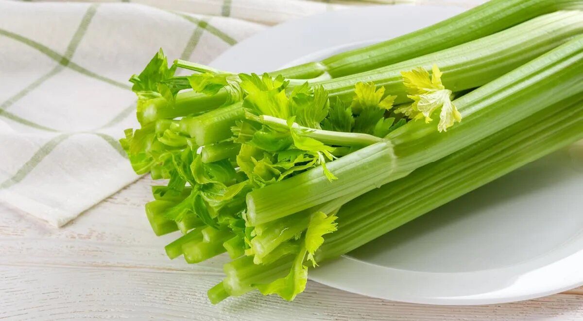 Сельдерей: свежий взгляд на его пользу и вред при диабете