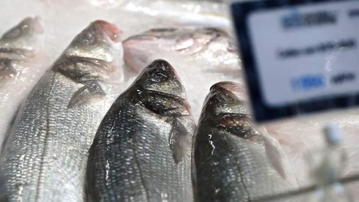 ��� ������� ��������� ������������ ����: ������ ���������