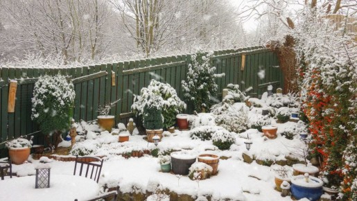 ��� ����������� ��� � ������ � ����: ������ ��� �������� � ������