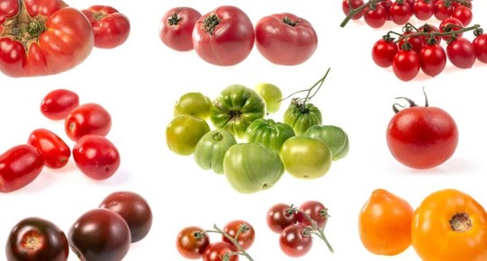 ���������� � ��� �������