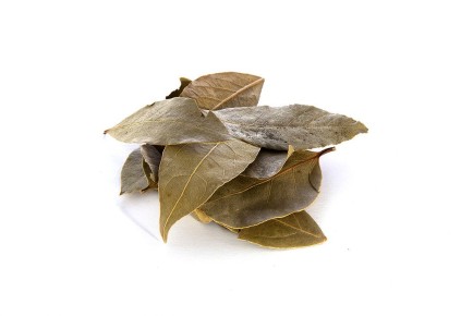 �������� ����: ��������� ���������� ����� �����