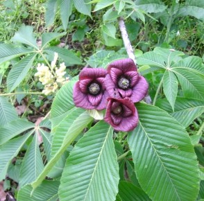 �������