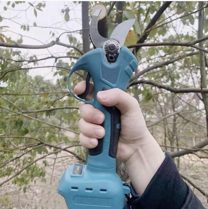 ����� ������� ����� �� �����: �������������� ����������� ��� ������� ��������