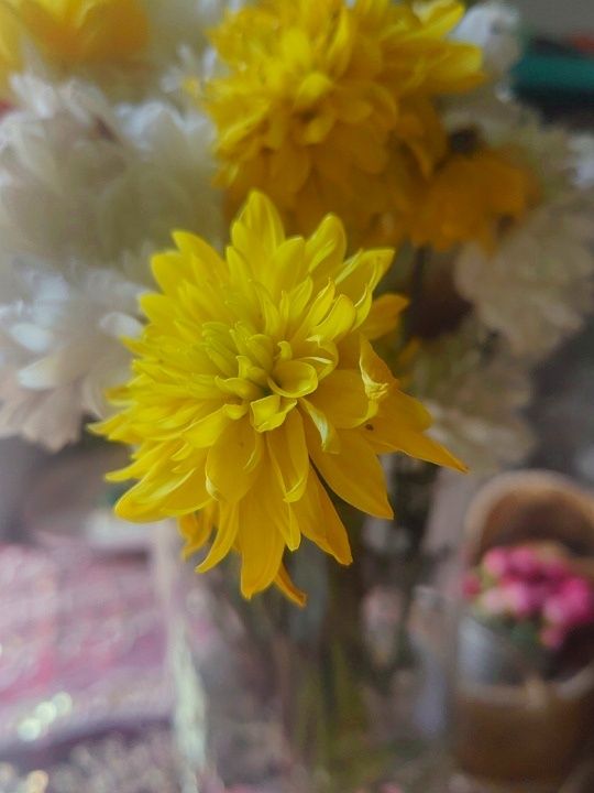 ��������, ���� � ���������� ������������: ������� ������� �� �����