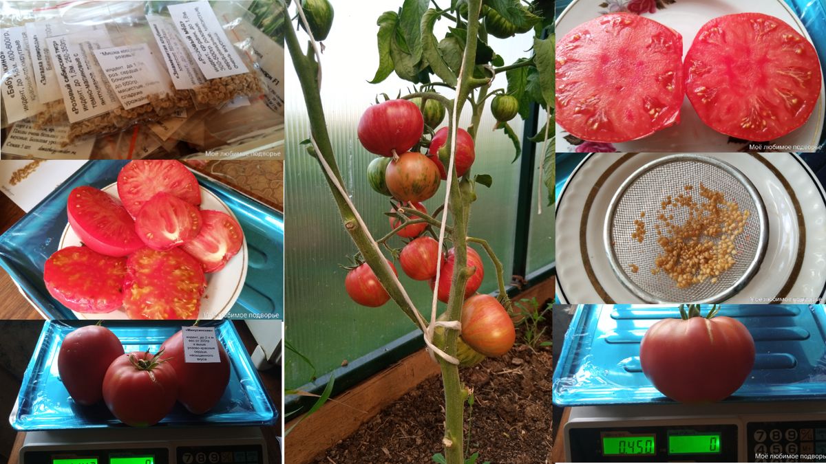 ��� ��������� �������� ������ �������� �������: ������� � ������