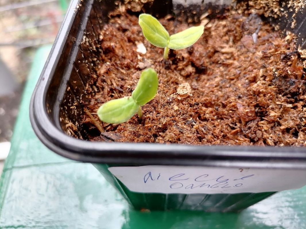 ����� ������������ ������� � ������� ������