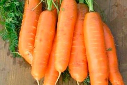 ������� ��������� ������� �����: ��� ��������� ����-����� � ������� ������