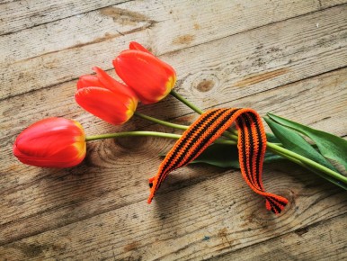 История, которой никто не неделит: как война навсегда изменила судьбы поколений