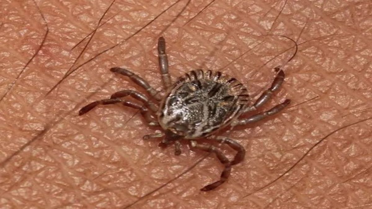 ��� ���������� �� ������: ������ ������ � ��������