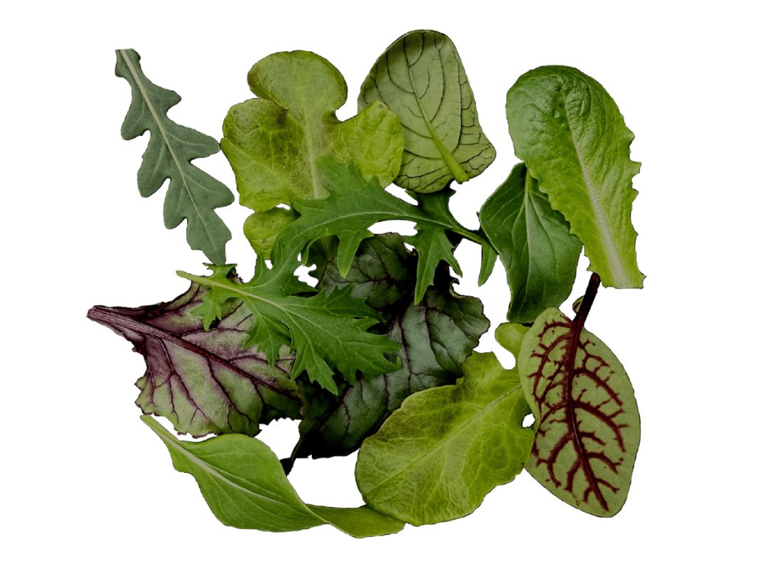 �����-�����: ��������� ������ � �������� ������������� � �����