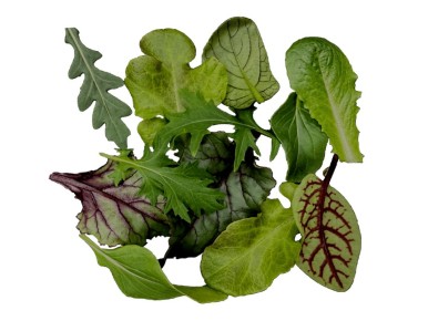 �����-�����: ��������� ������ � �������� ������������� � �����