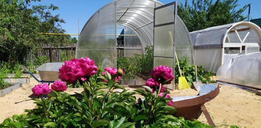 ��� ���������� ����� � ������� ������ ����� �������������