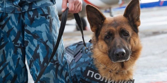 ��������� �������� �� 8 �����: ���������� ����������� � ���������