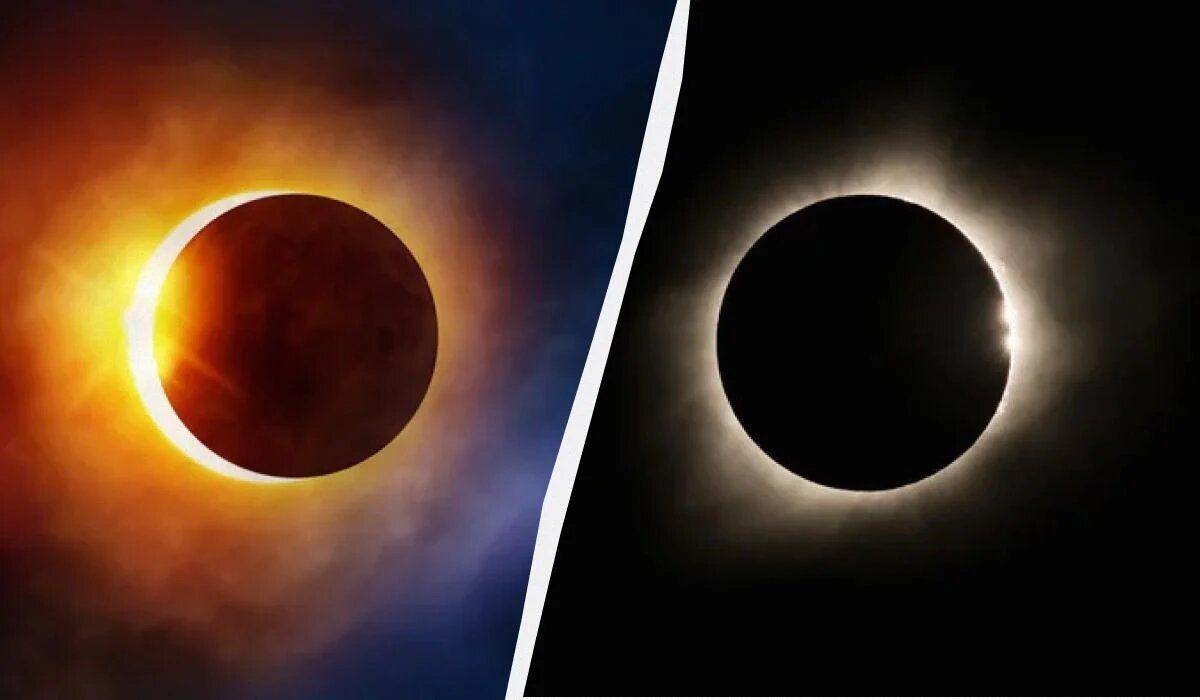 ����� �������: ��� �������� ������� �������� � 14 �� 29 �����