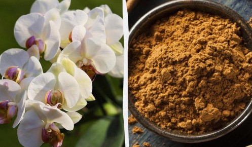 ��� ������ ����� ������� ������� � �����