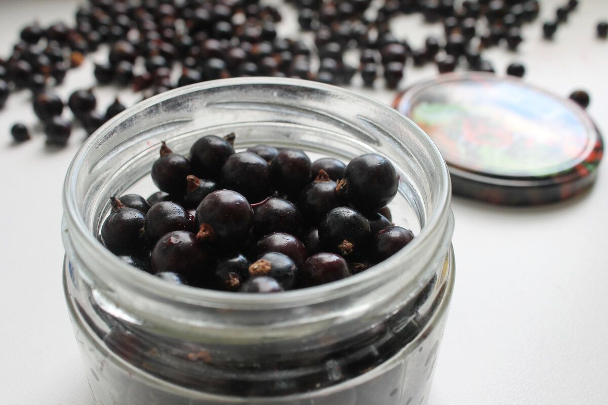 ������ ������ ���������: ������� ��� ������ ����� �����