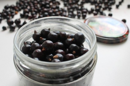 ������ ������ ���������: ������� ��� ������ ����� �����