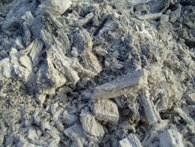 ��� ��������� ���� ������ ���� ���������: ������� ����� �� �����