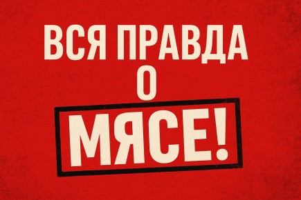 ���� ��� ��������: ��������� �������, ������� ������ �� �����, ����� �� �����