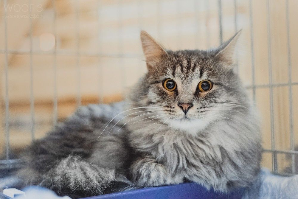 ��� ����� � ���� ��������� ������ �� ����������������� ���������