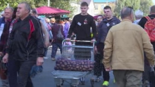 Куряне выбирают картошку и мясо, но сокращают яйца в рационе