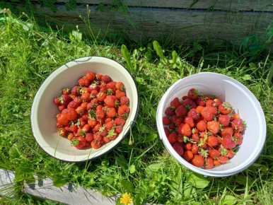 Как мама-пенсионерка открывает мир путешествий на свои золотые руки