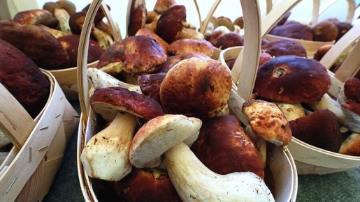 ��� ��������� ���������� ����� �����: ������ ���-������