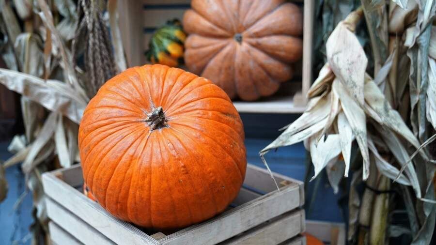 ��������� ����: ��� ������������� � �������� � ����������� ���������