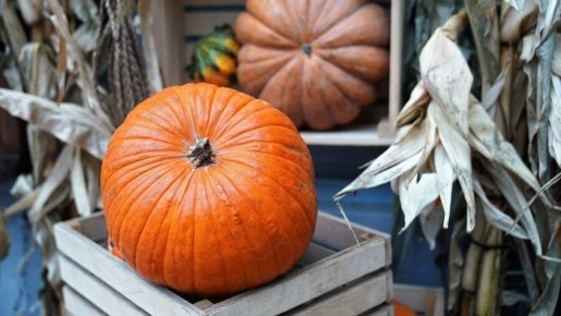 ��������� ����: ��� ������������� � �������� � ����������� ���������