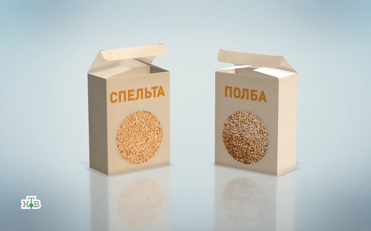 ����� � �������: ������� ������������� ���� ������� �����