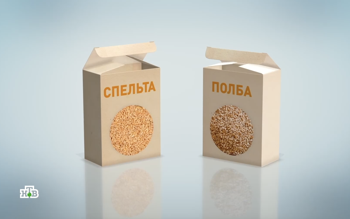 Полба и спельта: секреты приготовления этих древних зерен