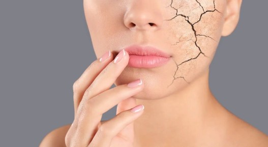 ��� ������, ��� ���� ��������� � ����������