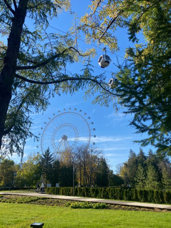 ��������� ����� �� ����: ���� ���������� � ����������� �������