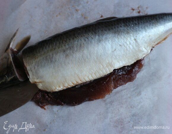 ������� ��� ����� �����: �������� �� ����� �����