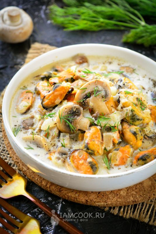 ������ ����� � ��������� �����: �������� ������������� � ���������� ����