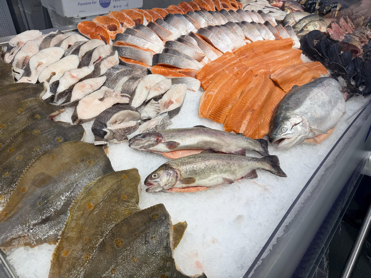 Где найти свежий лосось для ухи по удивительной цене