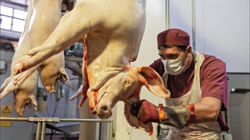 ���� �� ������� ���������� �������, ������� �������������� �������