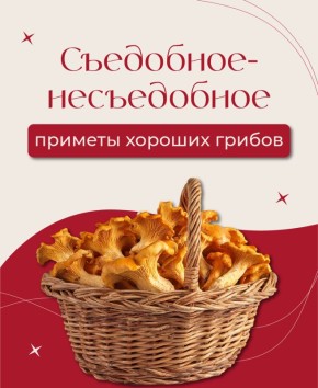 ������� ����������� �������� �����: ��� �������� ��������� �� ��������