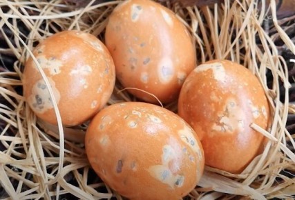 ������������ ������� ���������� ���: ������� � ����������� ���������