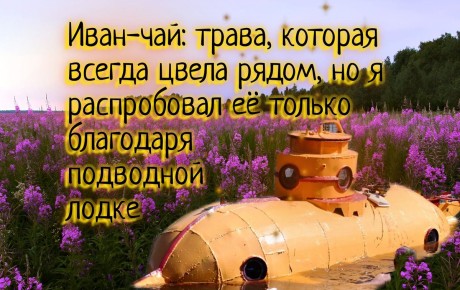 ����-���: �����, ������������ ����� ������� � ������