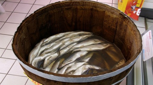 Почему селедка — идеальный выбор для пенсионеров: мнение диетолога