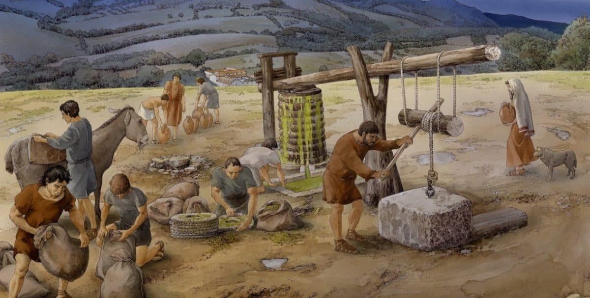 ������� ������������ ���������� �����: ����������� �������� �� ���������� ����� �����������