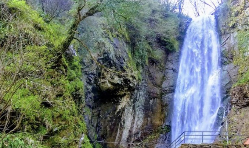 ���������� �������: ������������ ������� � ����������� ����