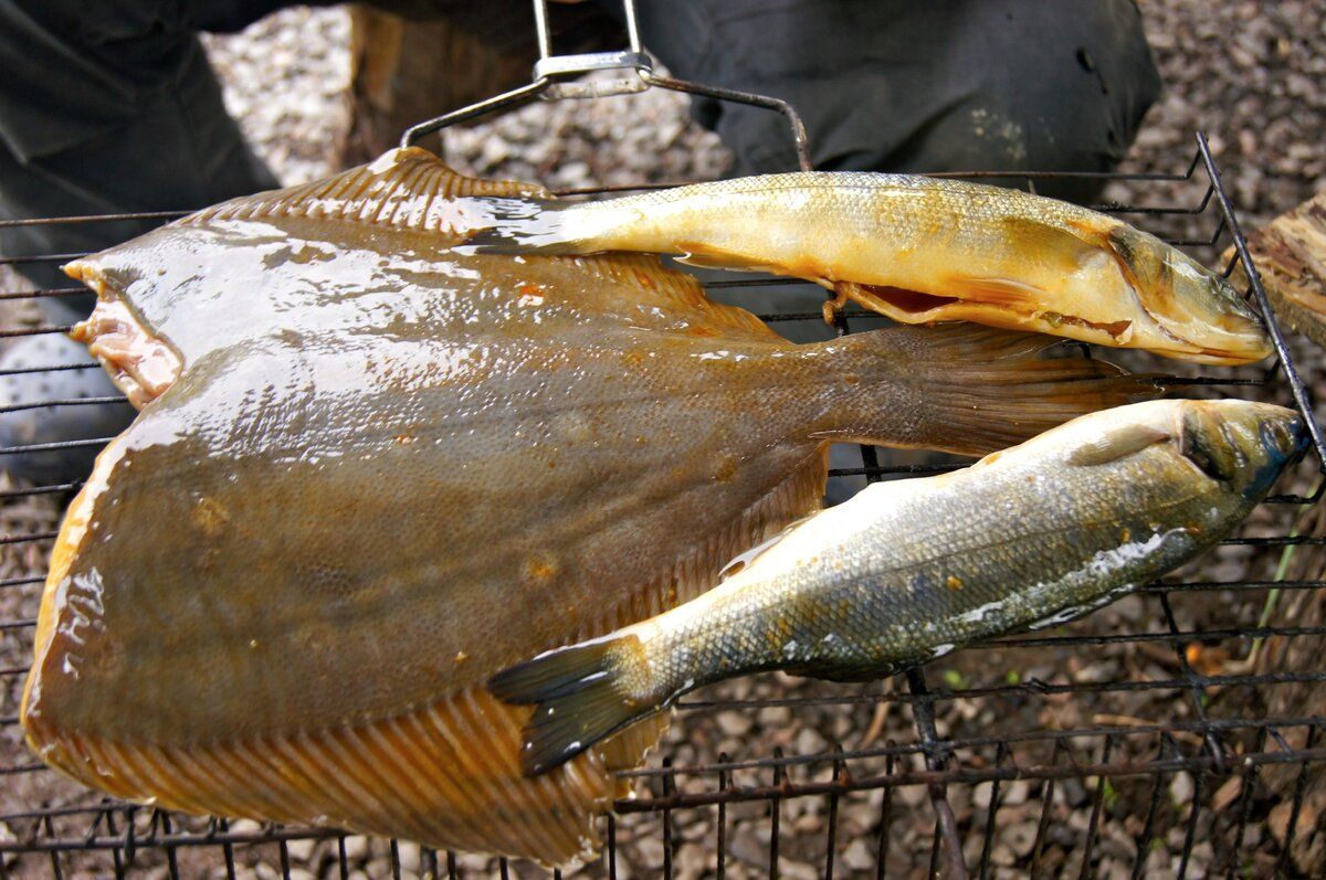 Секреты приготовления рыбы на углях