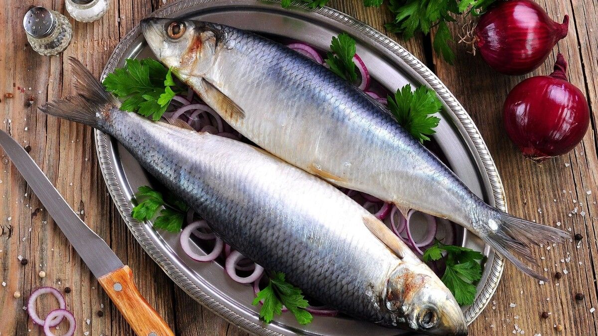 ���� �� ���� � ������ ���������� �����: ��� ���������� �� �����?