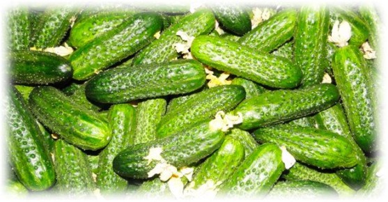 ��� ��������� ������ ������ � �������� ��������