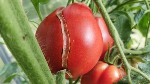 ������ �������� ���������� �� ������ �� ����� ����������?