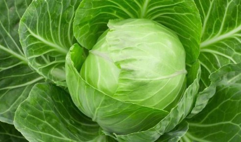 ��� ��������� ���������� �������: ������� ��� ��������� ������