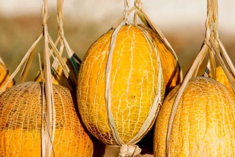 ����: ������� ����������� ������������ � �������������