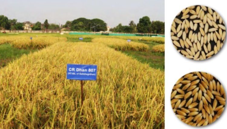 ����� ����� ���� ������ ������� ���� � ��������� �������� ���������